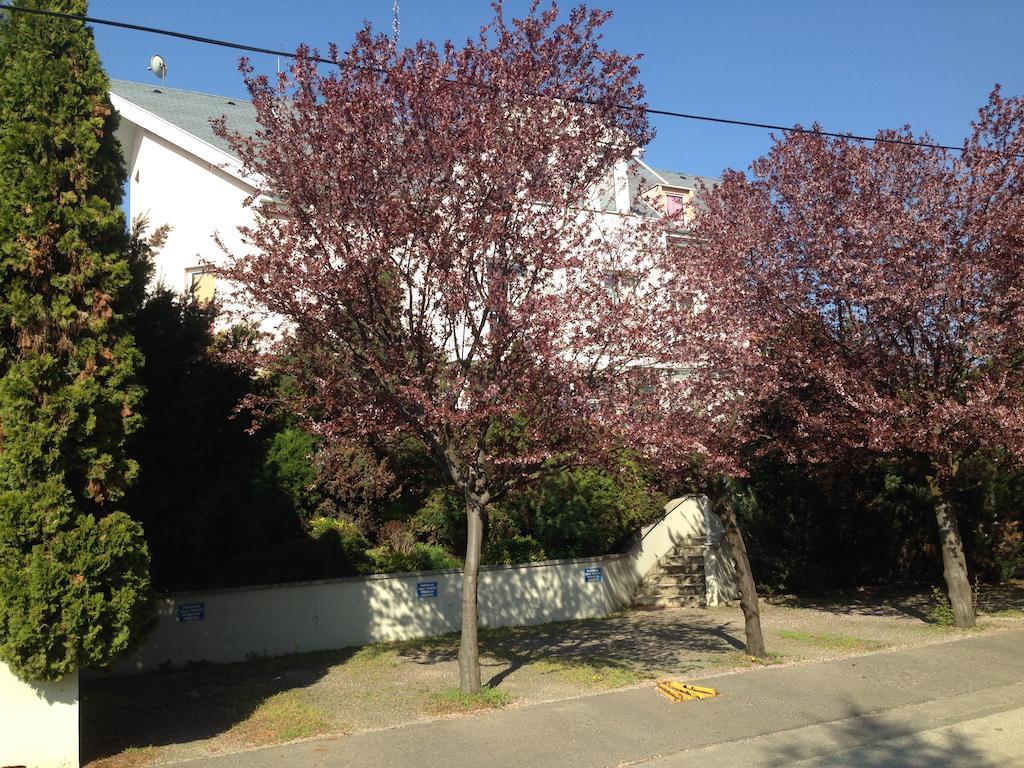 Belle Fleur Panzio Panzió